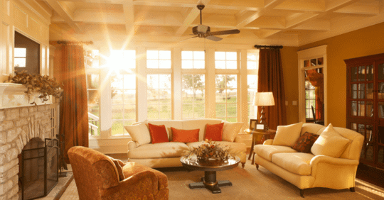 Bright sunny living room