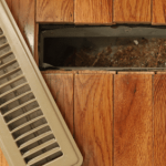 The Importance of Air Duct Cleaning in Summer